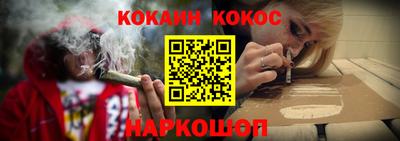 гашик Новозыбков