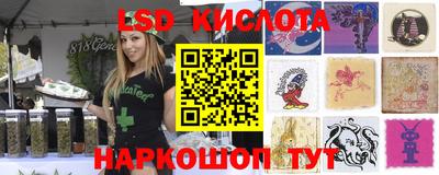 гашик Новозыбков
