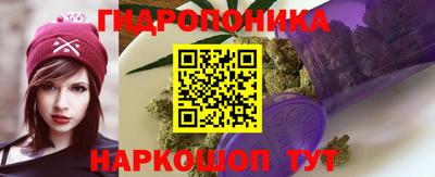 гашик Новозыбков