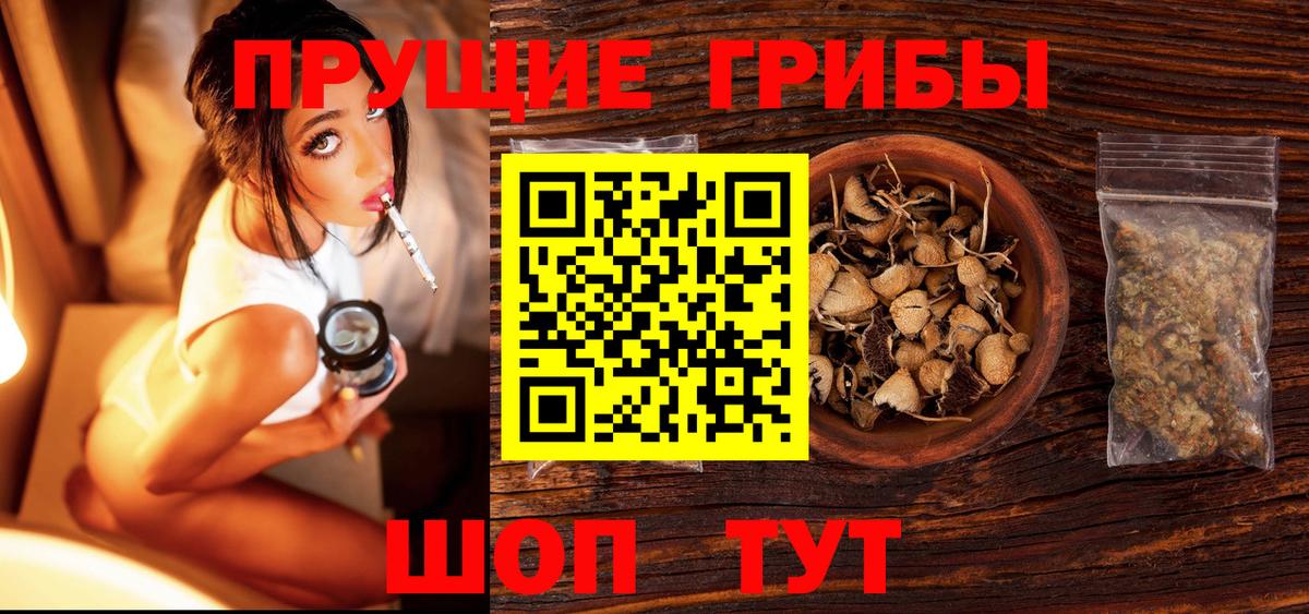 Бутурлиновка  Псилоцибиновые грибы прущие грибы  Вход с VPN 